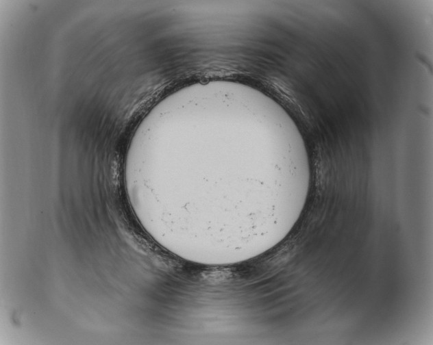 X0000102370362200808221744