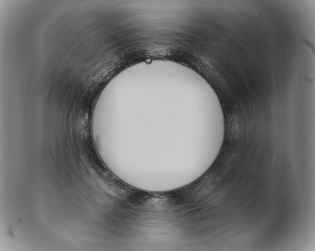 X0000102370364200808221744