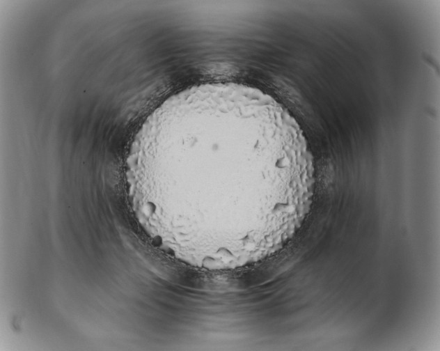 X0000102370365200808221744