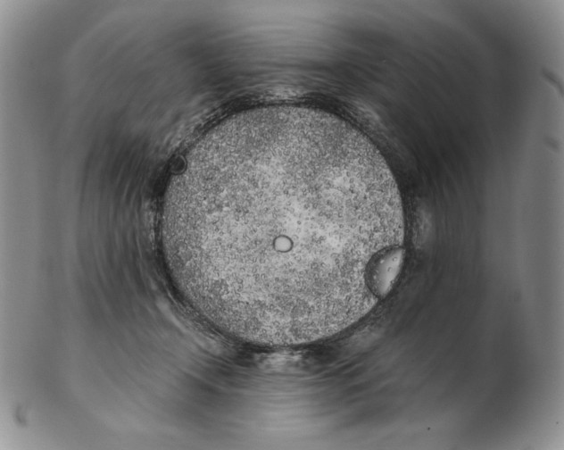 X0000102370366200808221744