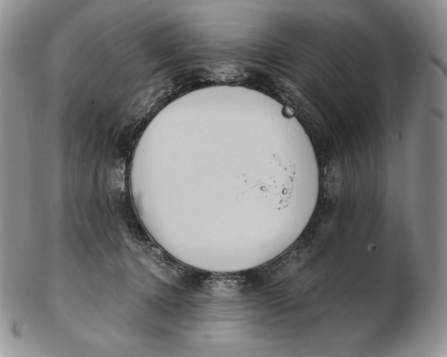 X0000102370368200808221744