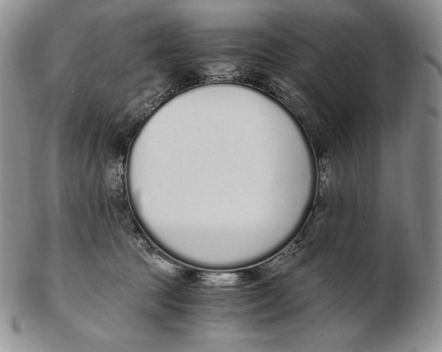 X0000102370369200808221744