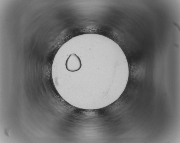 X0000102370370200808221744