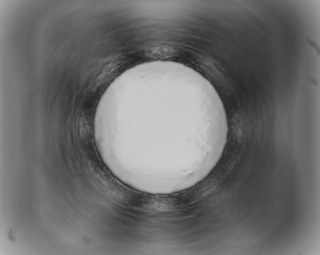 X0000102370371200808221744