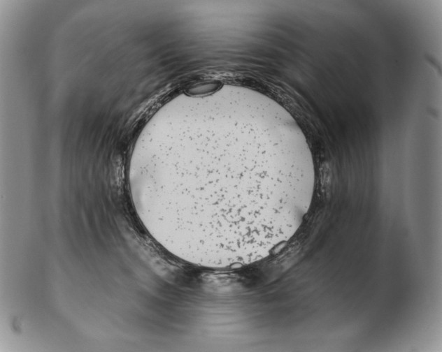 X0000102370372200808221744