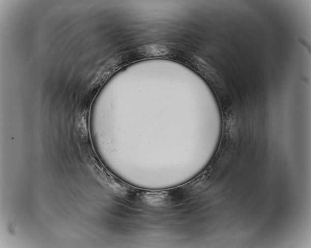 X0000102370373200808221744