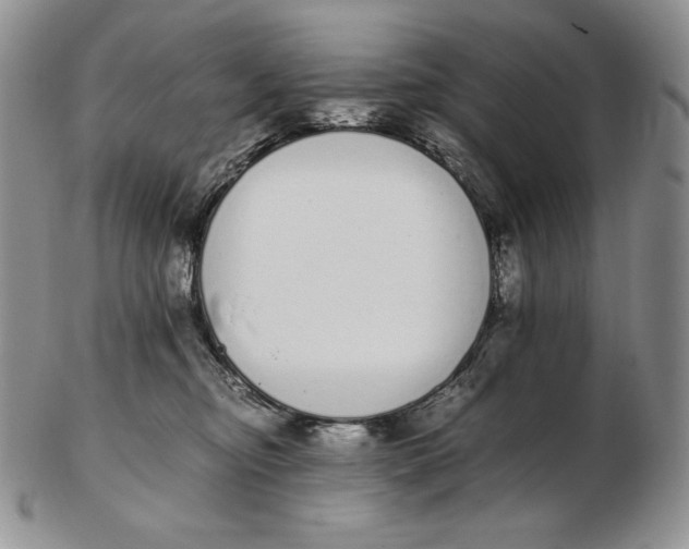 X0000102370374200808221744