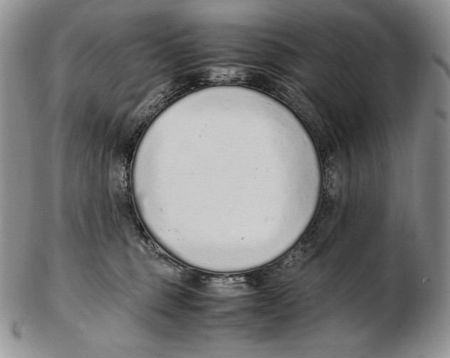 X0000102370375200808221744