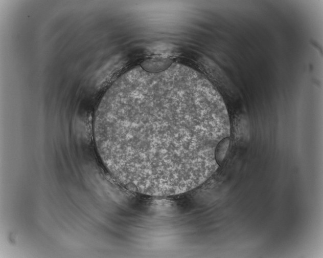 X0000102370376200808221744