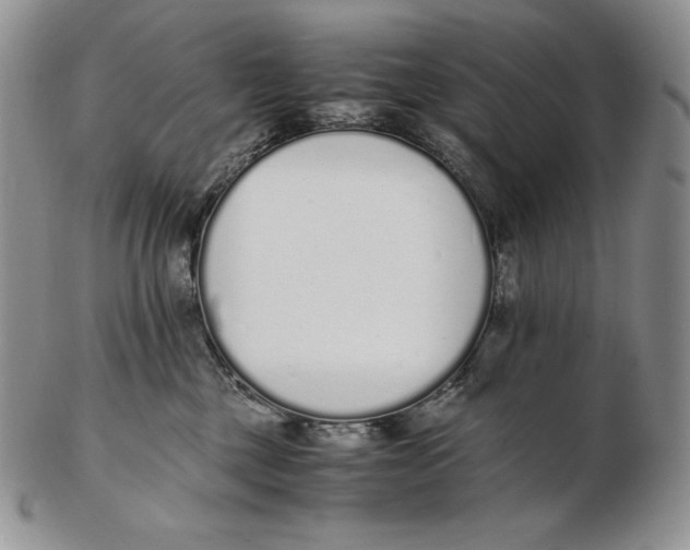 X0000102370377200808221744