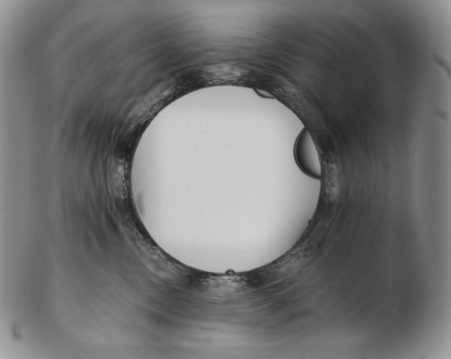 X0000102370378200808221744