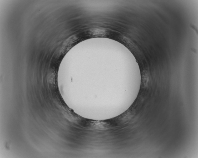 X0000102370379200808221745