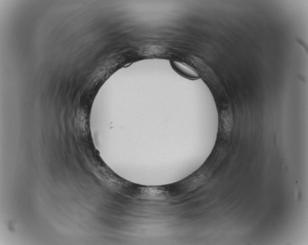 X0000102370380200808221745