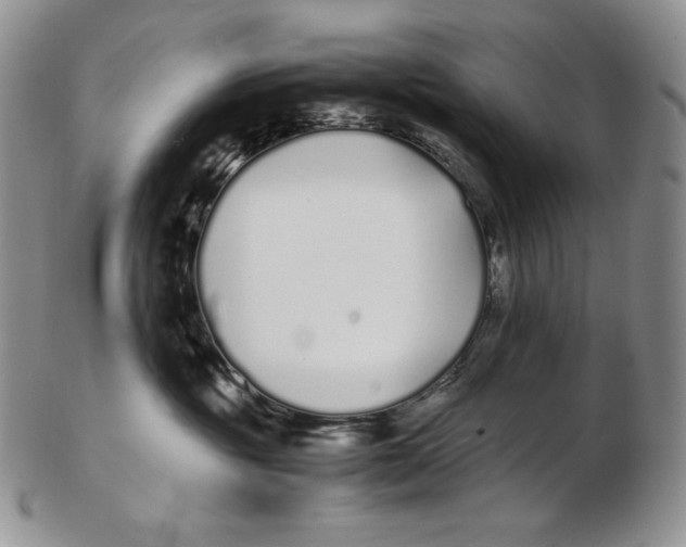 X0000102370381200808221745