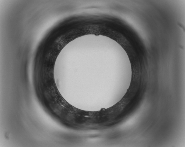 X0000102370383200808221745