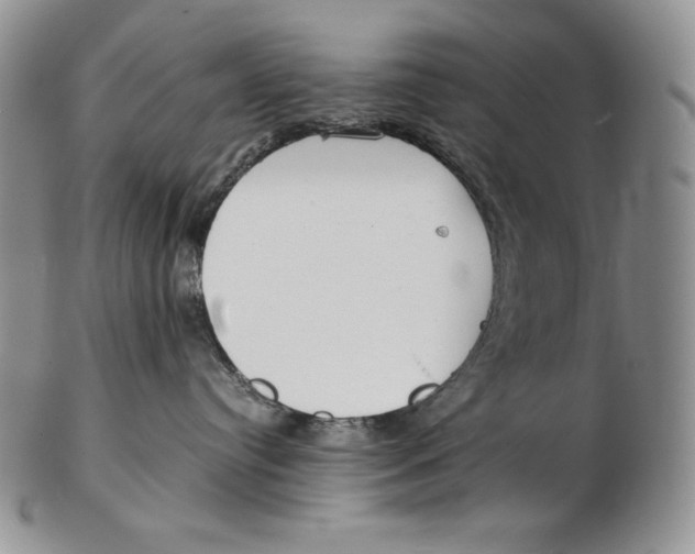 X0000102370384200808221745