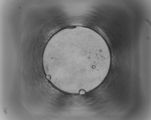 X0000102370385200808221744