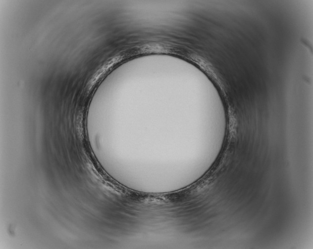 X0000102370386200808221744