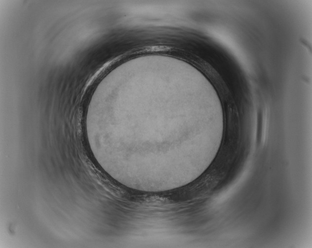 X0000102370387200808221744