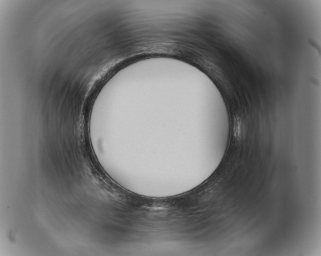 X0000102370388200808221744