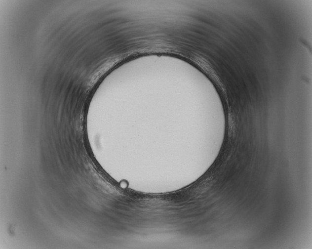 X0000102370389200808221744