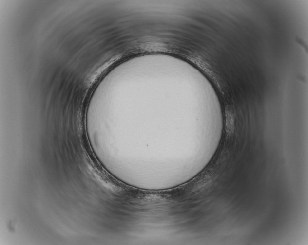 X0000102370390200808221744