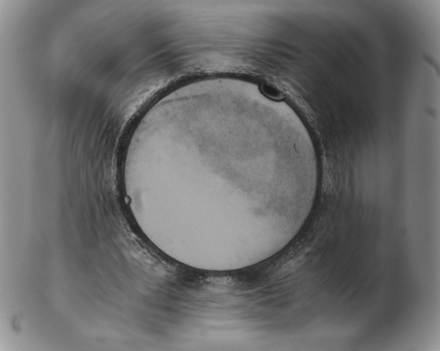 X0000102370391200808221744