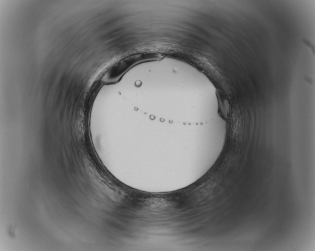 X0000102370392200808221744