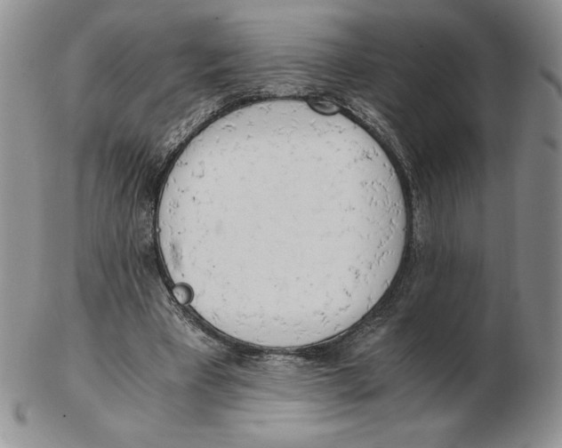 X0000102370393200808221744