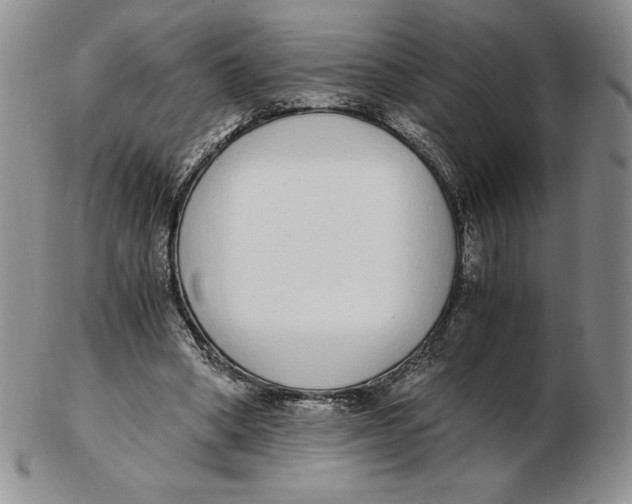 X0000102370394200808221744