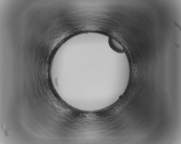 X0000102370395200808221744