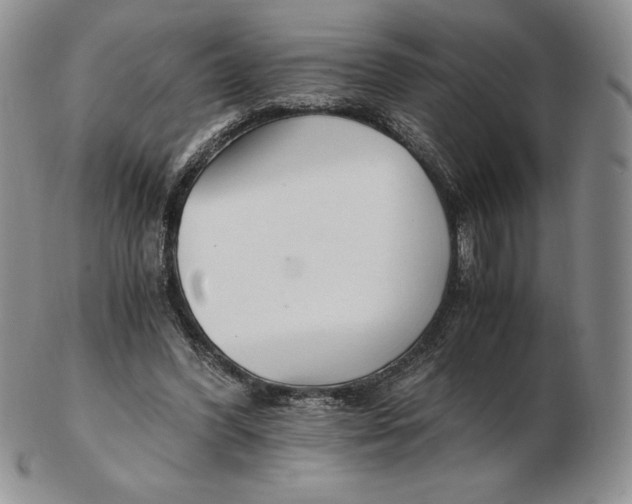 X0000102370396200808221744