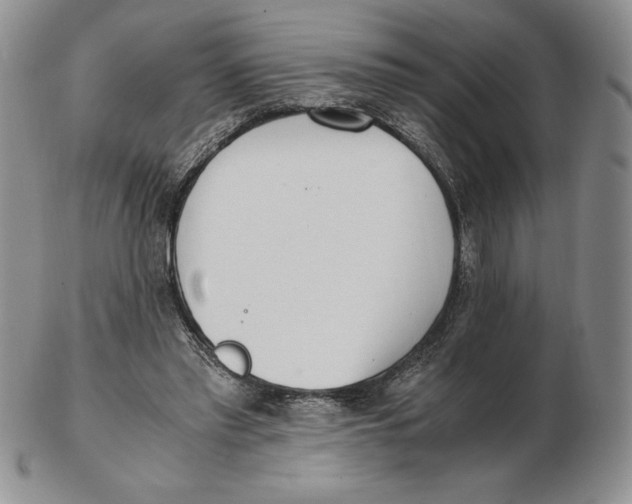 X0000102370397200808221744