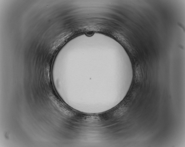 X0000102370398200808221744