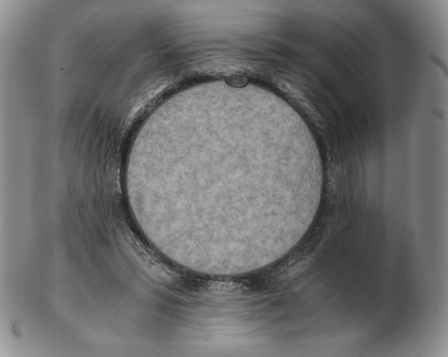 X0000102370399200808221744