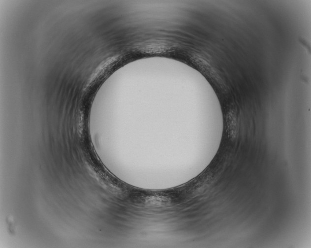 X0000102370400200808221744