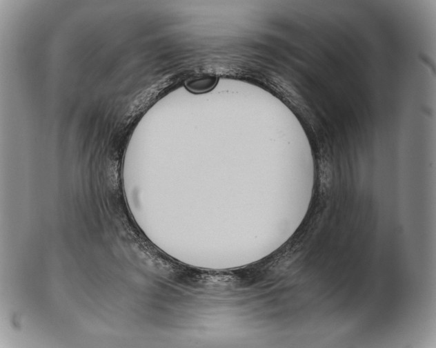 X0000102370401200808221744