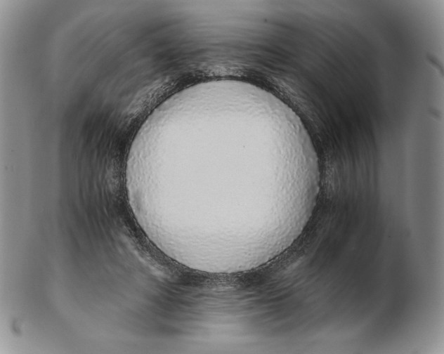 X0000102370402200808221744