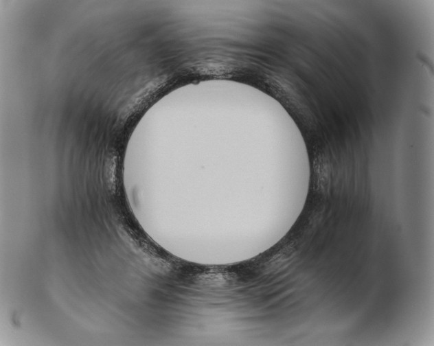 X0000102370404200808221744