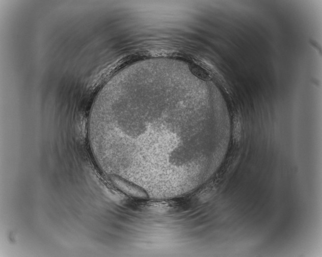 X0000102370405200808221744