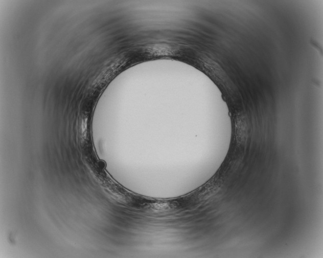 X0000102370406200808221744