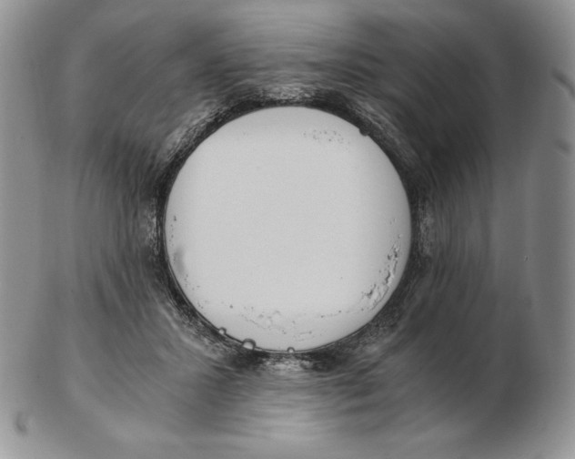 X0000102370407200808221744