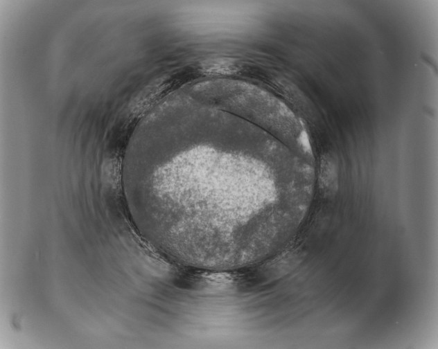 X0000102370409200808221744