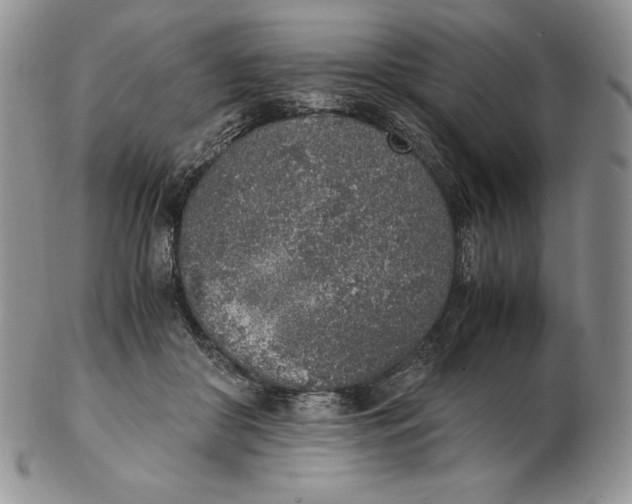 X0000102370410200808221744