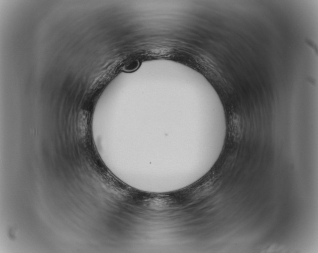 X0000102370412200808221743