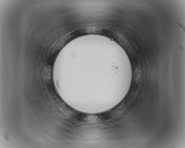 X0000102370413200808221743