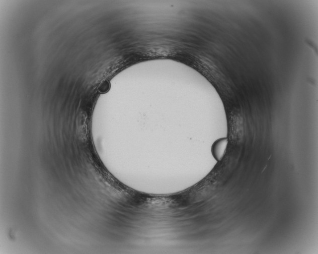 X0000102370414200808221743