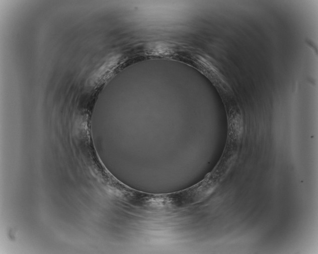 X0000102370415200808221743