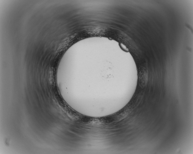 X0000102370416200808221743