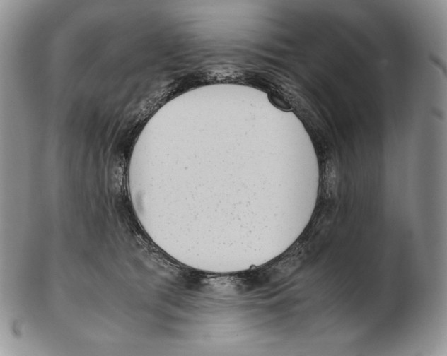 X0000102370417200808221743